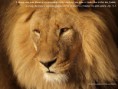 /album/imagens-para-papel-de-parede/apocalipse-5-5-jpg/