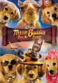 Baixar Filme – Treasure Buddies: Caça ao Tesouro – Dublado